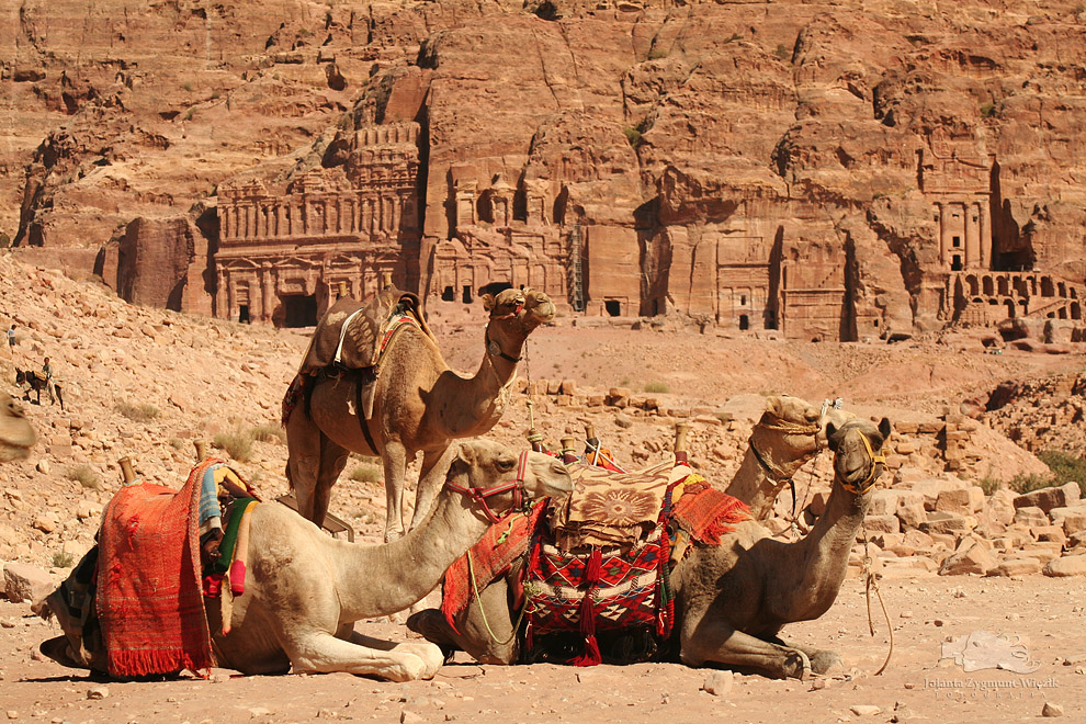 fotografia, zdjęcia - Jordania