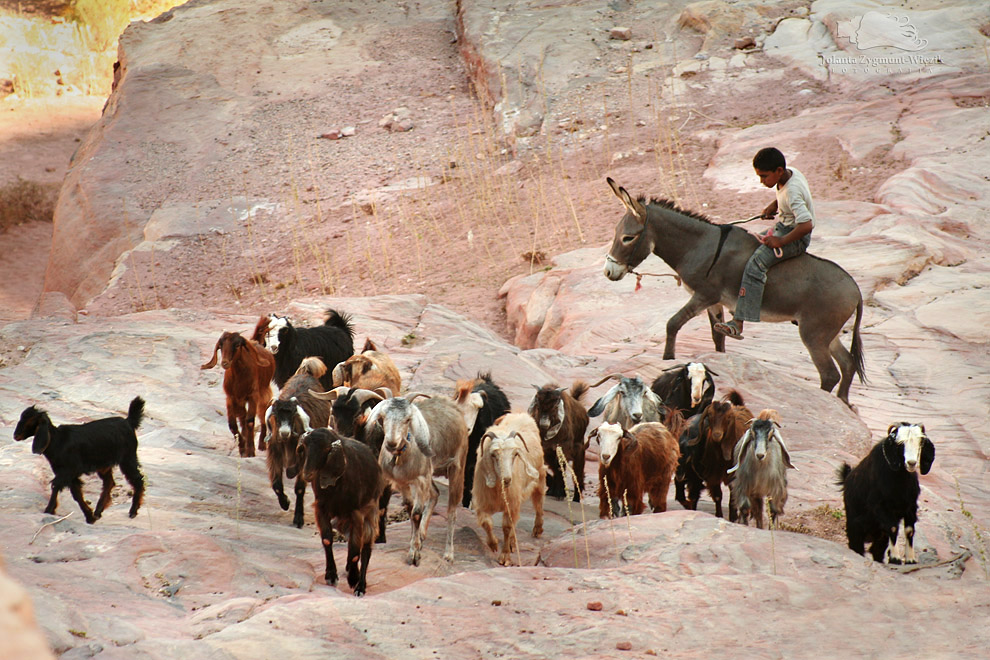 fotografia, zdjęcia - Jordania