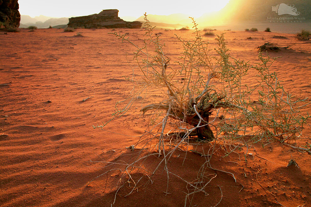 fotografia, zdjęcia - Jordania