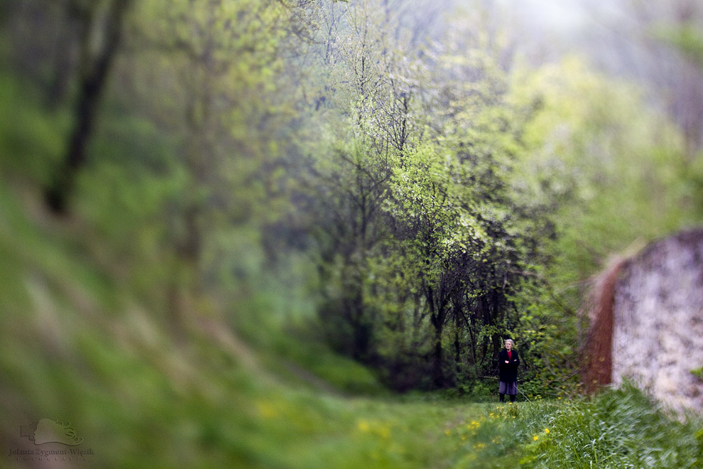 fotografia, zdjęcia - Szydłów