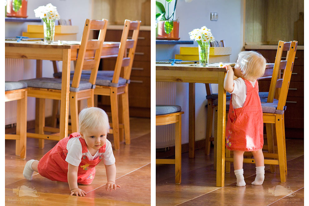 fotografia, zdjęcia - dom