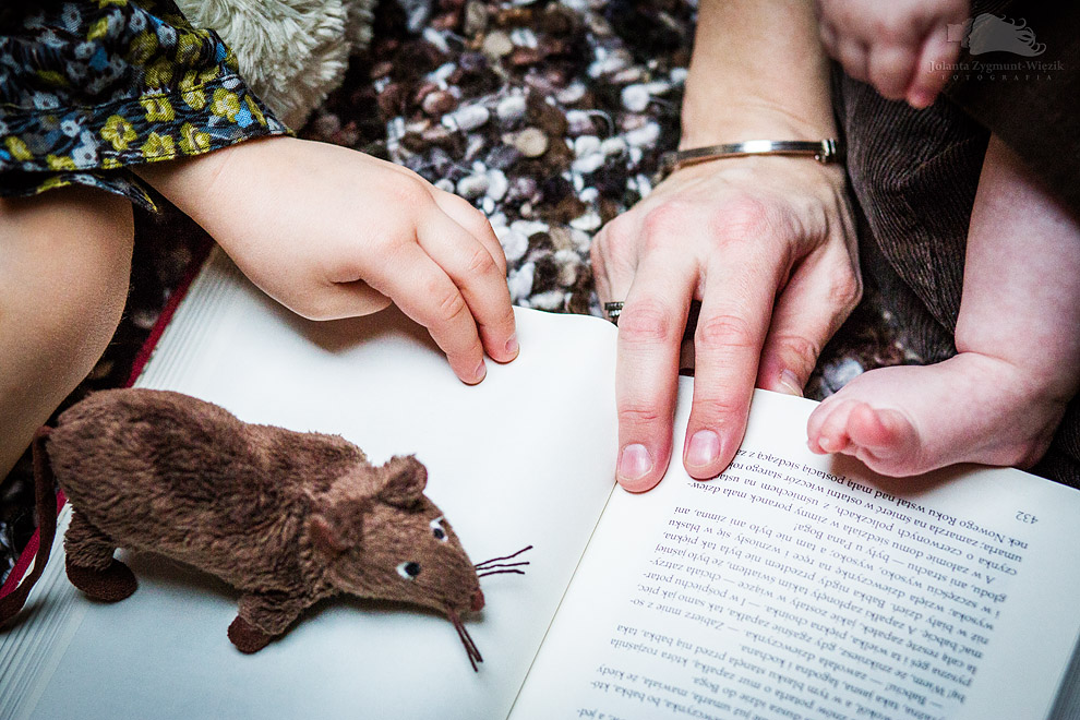 fotografia, zdjęcia - dom