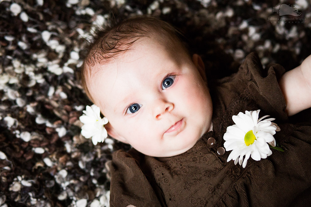 fotografia, zdjęcia - dom