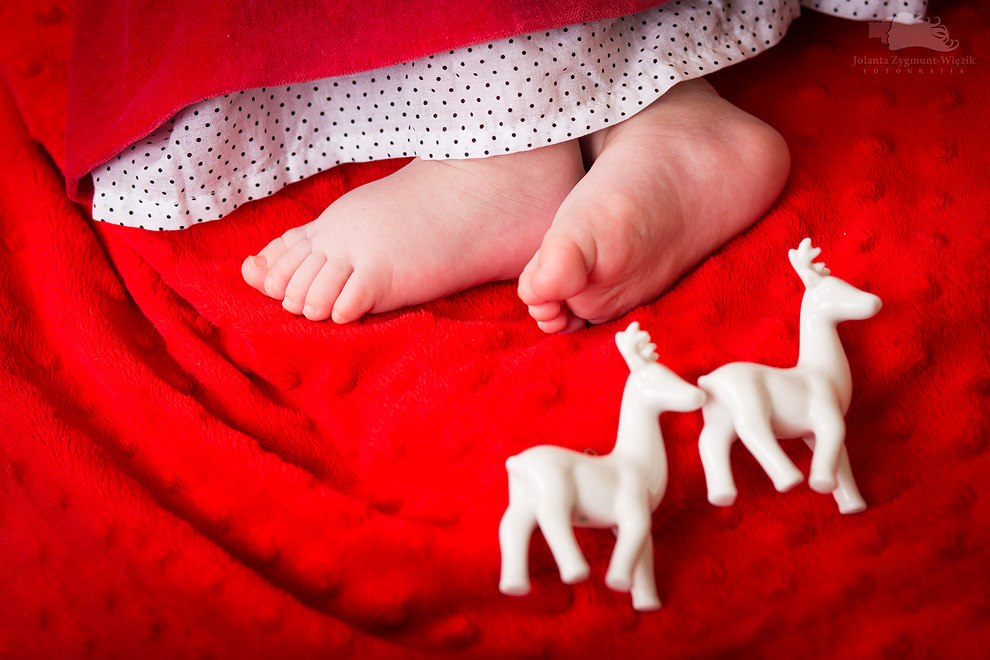 fotografia, zdjęcia - dom