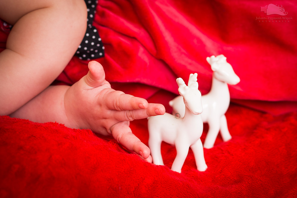 fotografia, zdjęcia - dom