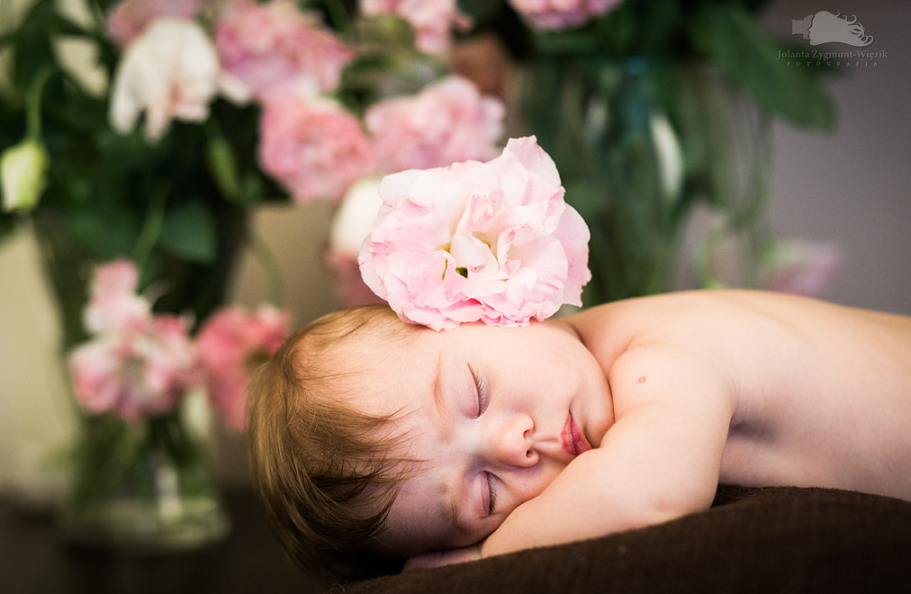 fotografia, zdjęcia - dom