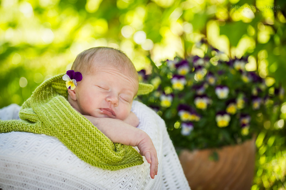 fotografia, zdjęcia - noworodki