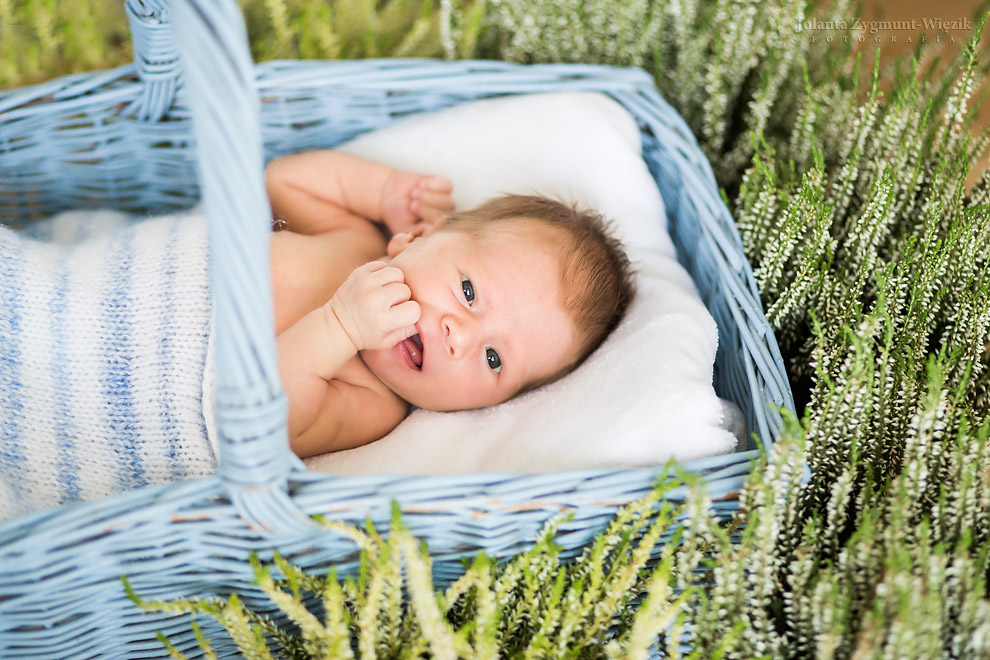 fotografia, zdjęcia - noworodki