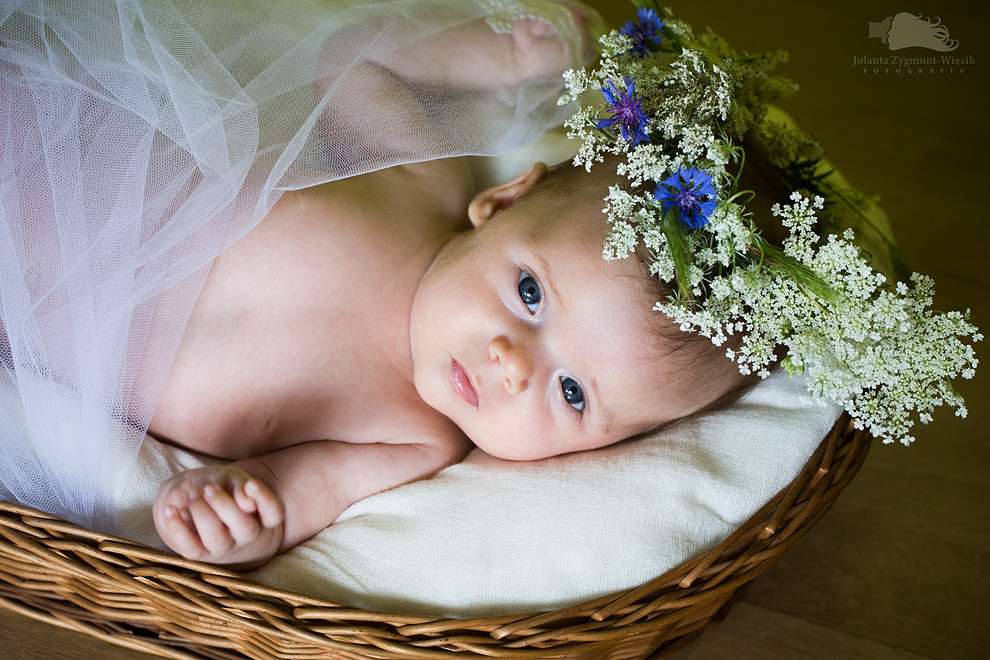 fotografia, zdjęcia - noworodki
