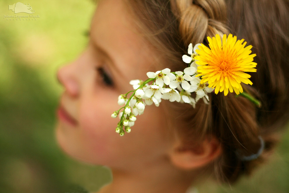 fotografia, zdjęcia - plener