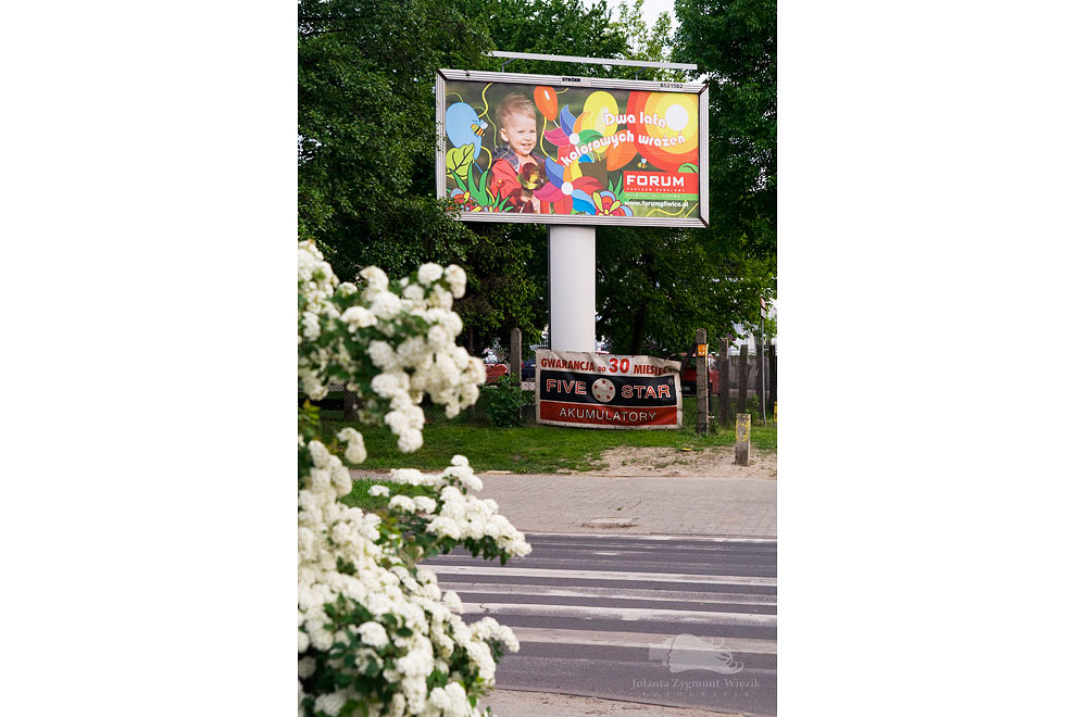 fotografia, zdjęcia - reklama