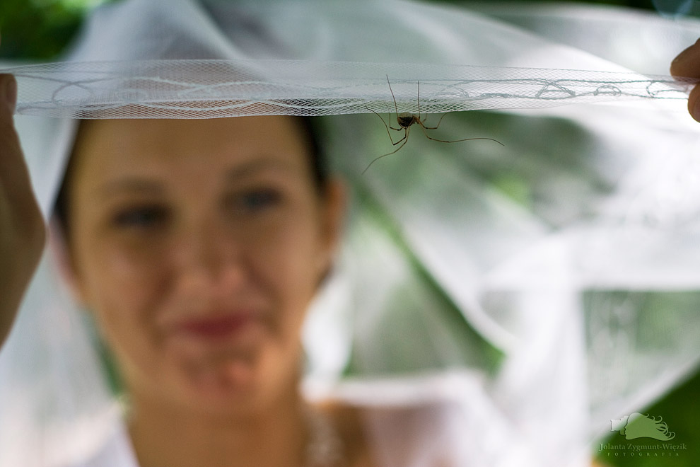 fotografia, zdjęcia - plener