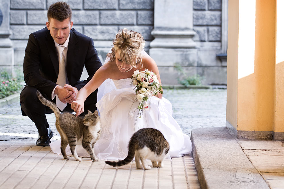 fotografia, zdjęcia - plener